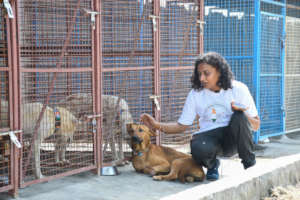 A permenant resident who lost 3 legs in train acc