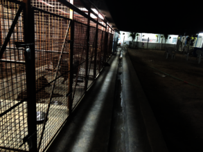 Kennels at night