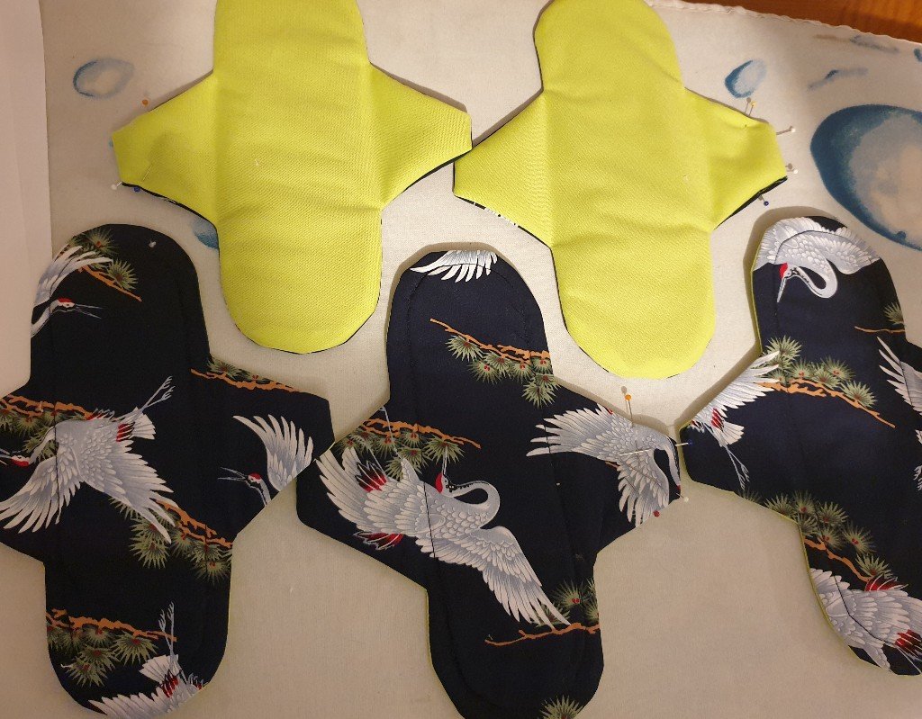 My sanitary Pads My Education {Pads 4 school girl}
