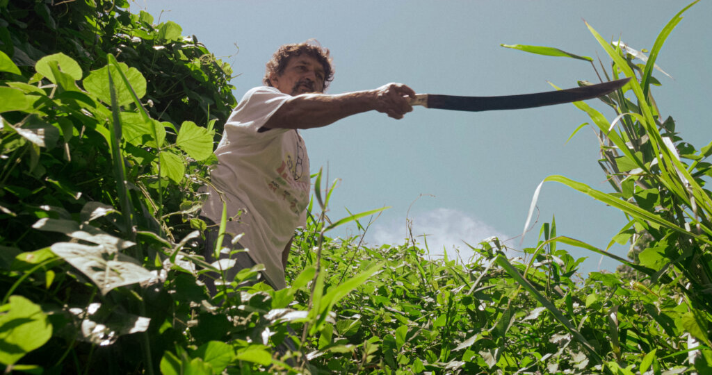 DESDE ADENTRO: A Documentary Feature Film