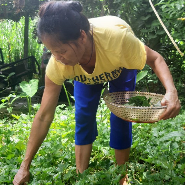 Buy a Cow for a Family Sickened by Agent Orange