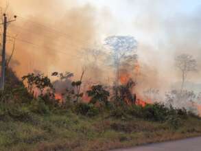 Wildfire near Jacj Cuisi/ Incendio al lado de JC