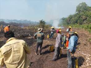 The fire breaks have proven effective.