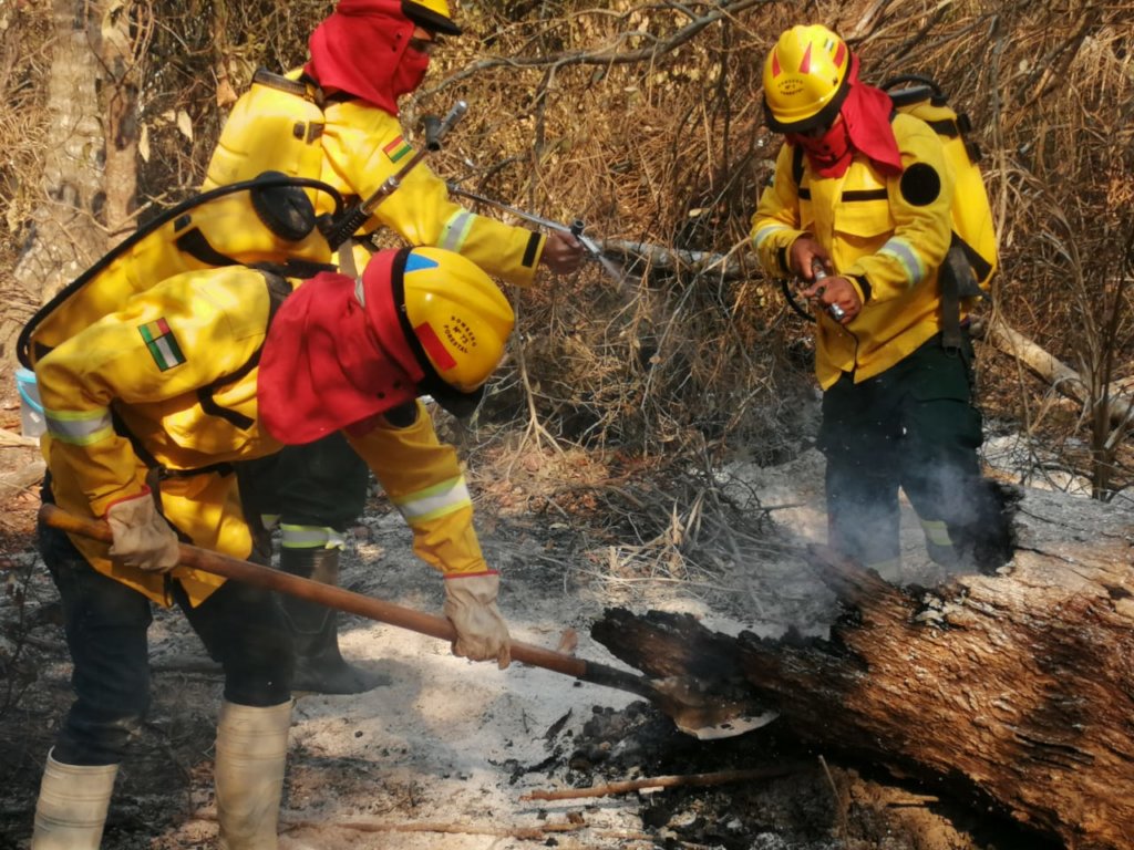 Protect CIWY's Wildlife Sanctuaries from Fire