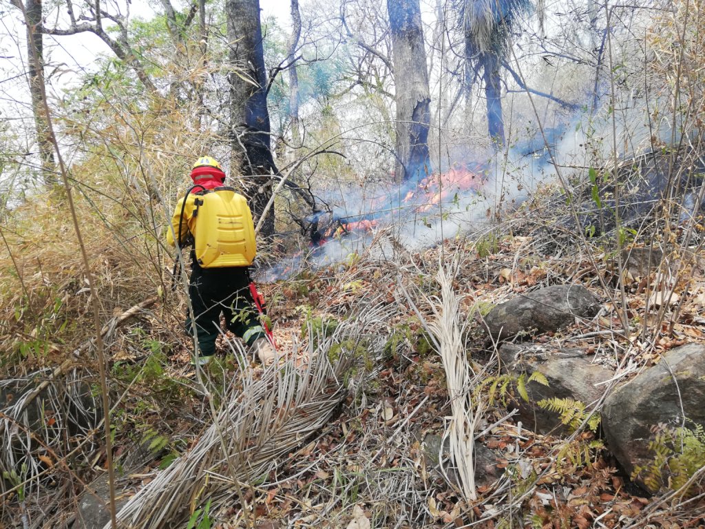 Protect CIWY's Wildlife Sanctuaries from Fire