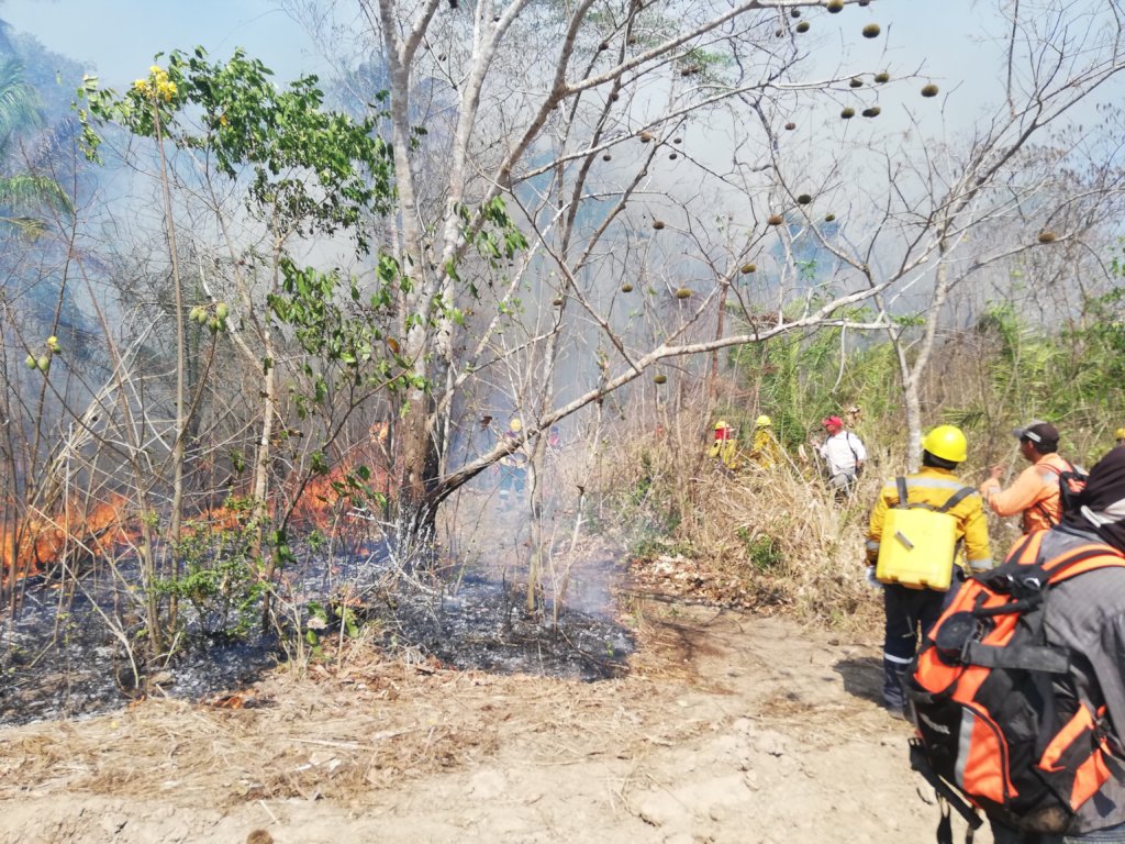 Protect CIWY's Wildlife Sanctuaries from Fire