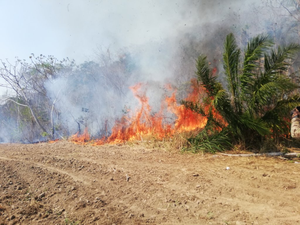 Protect CIWY's Wildlife Sanctuaries from Fire