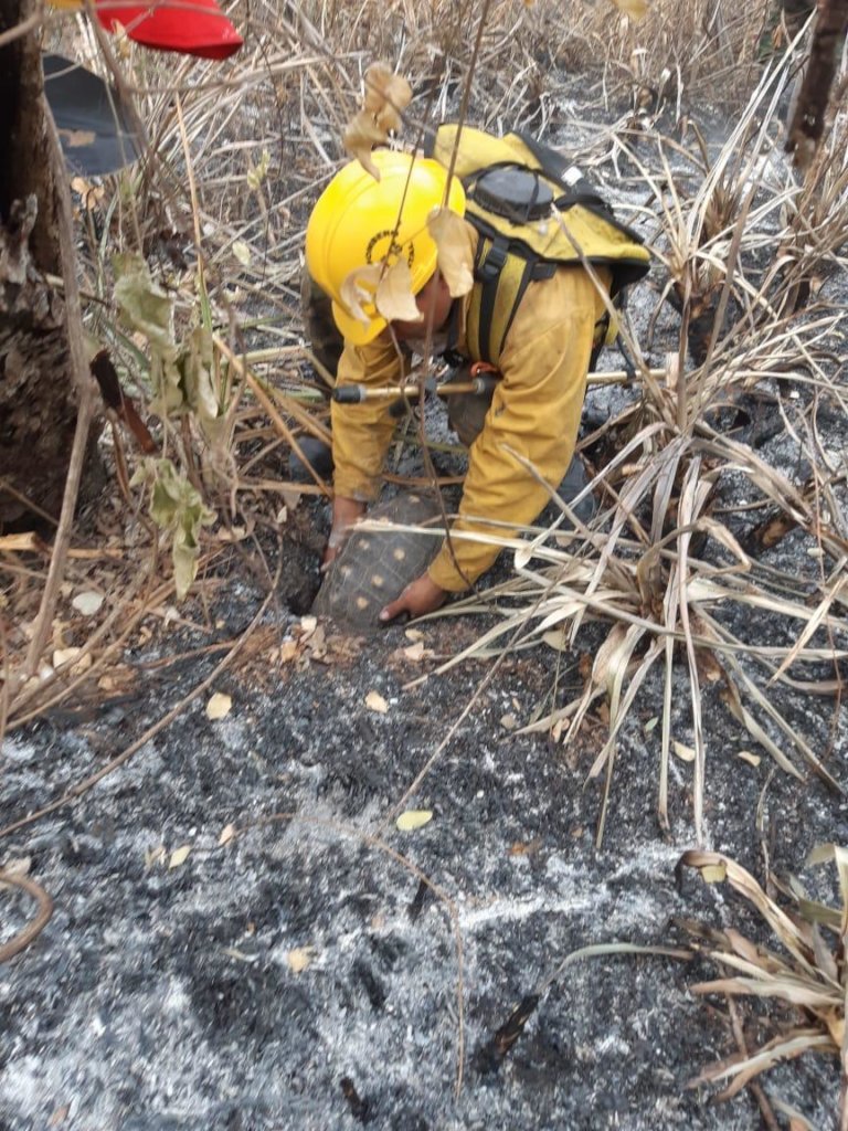 Protect CIWY's Wildlife Sanctuaries from Fire