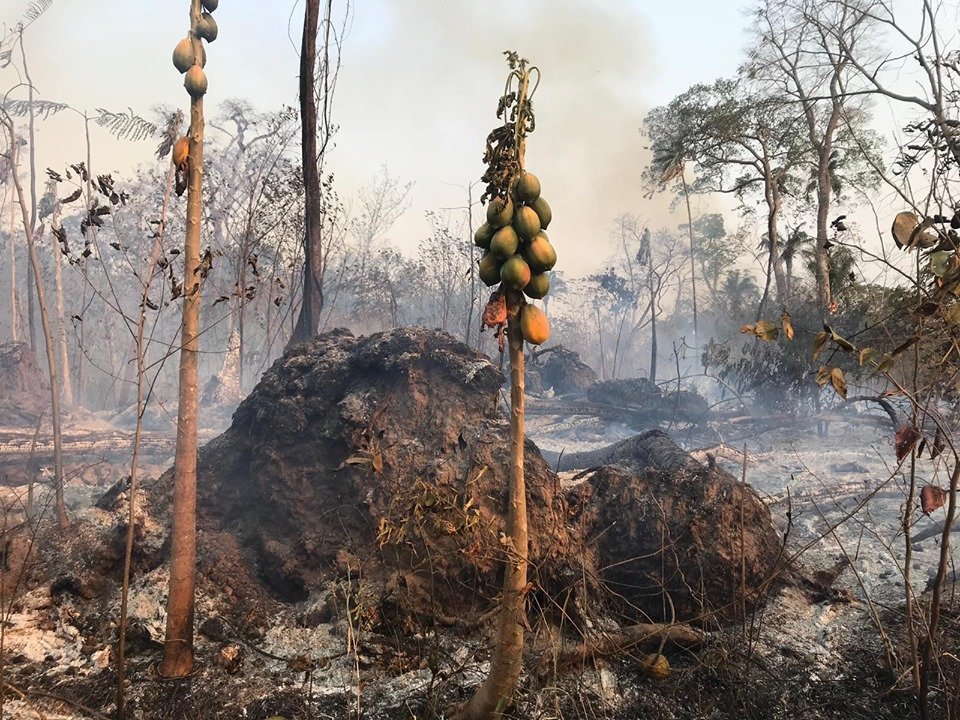 Protect CIWY's Wildlife Sanctuaries from Fire