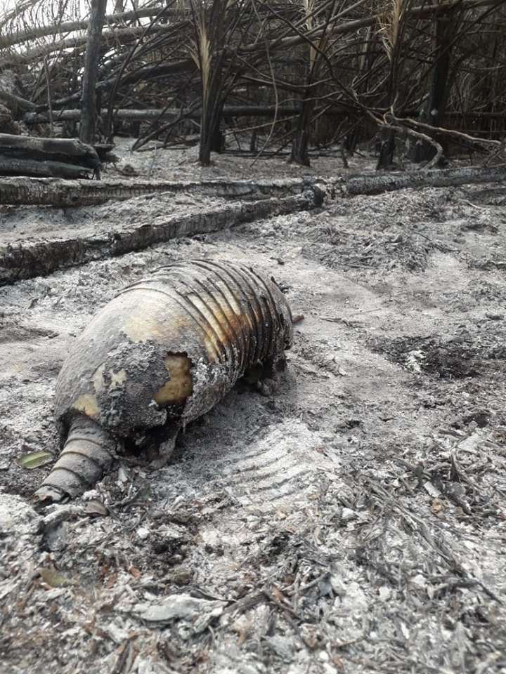 Protect CIWY's Wildlife Sanctuaries from Fire