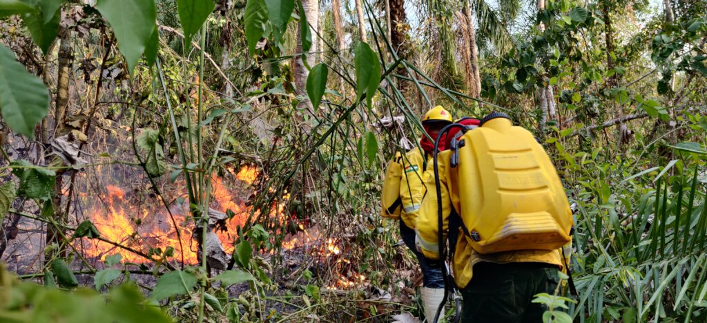 Protect CIWY's Wildlife Sanctuaries from Fire