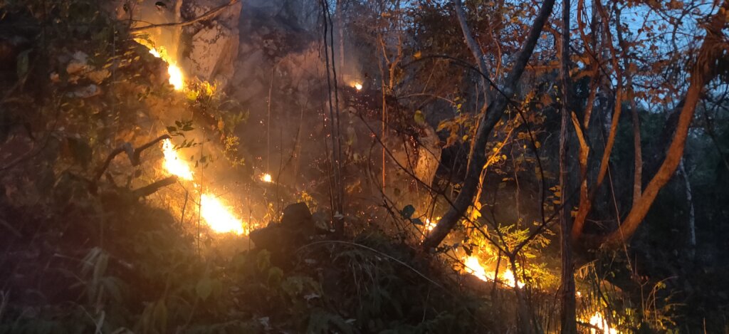 Protect CIWY's Wildlife Sanctuaries from Fire