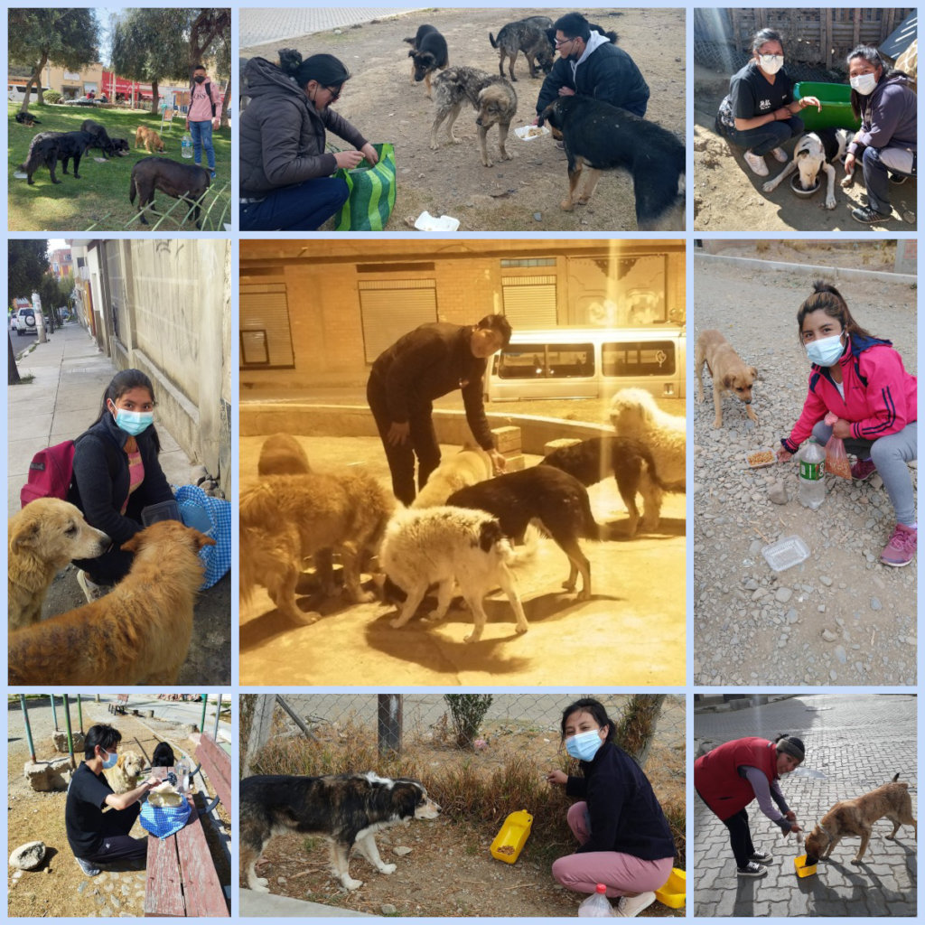 Christmas Baskets for the Students