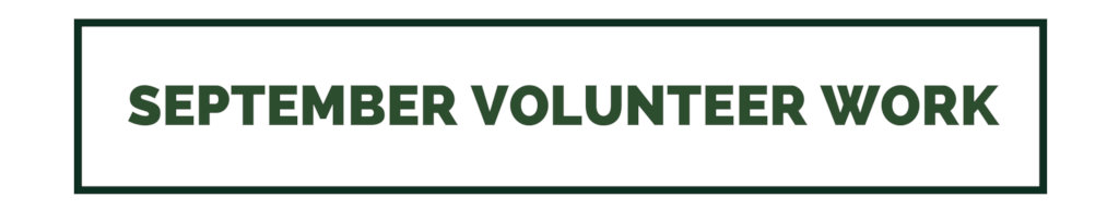 Christmas Baskets for the Students