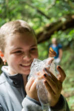Education immersed in nature