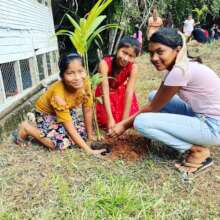 Planting Trees!