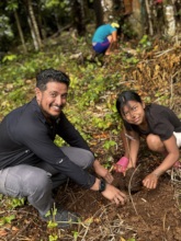 Fruit Tree Planting