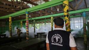 Fumigating for Dengue