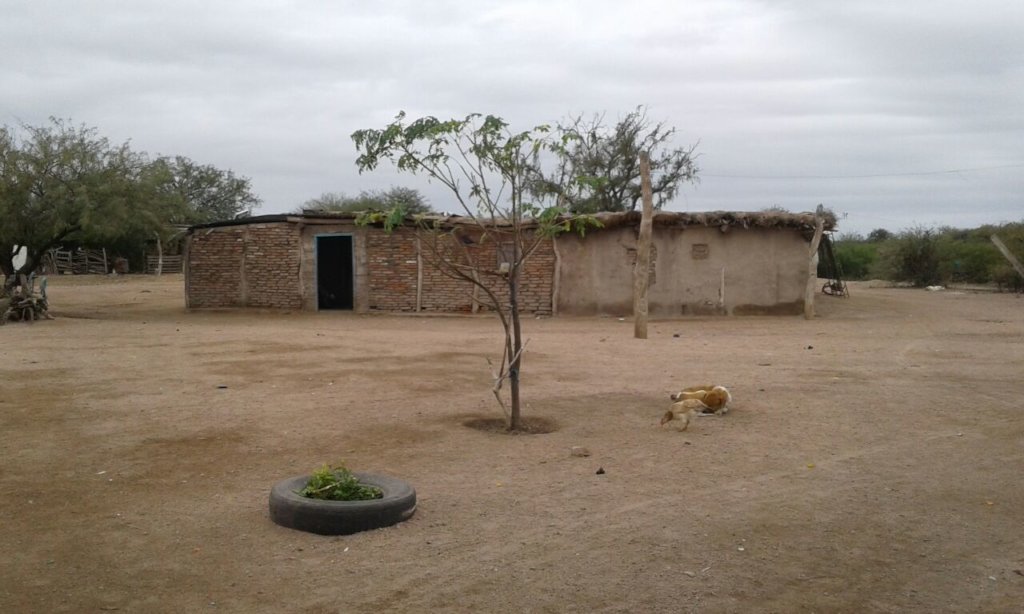 Improve a Rural School in Santiago del Estero