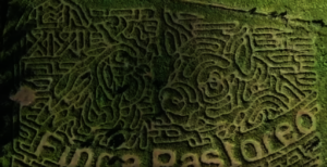 Maze Trip at Pastoreo Farm in Dorado, P.R.