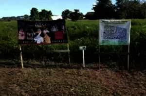 Pastoreo Farm in Dorado, Puerto Rico