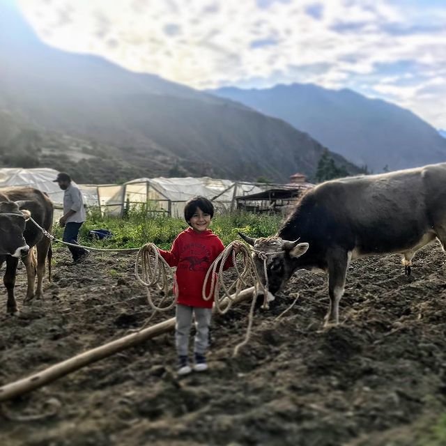 Education for 50 children in the Andes of Peru