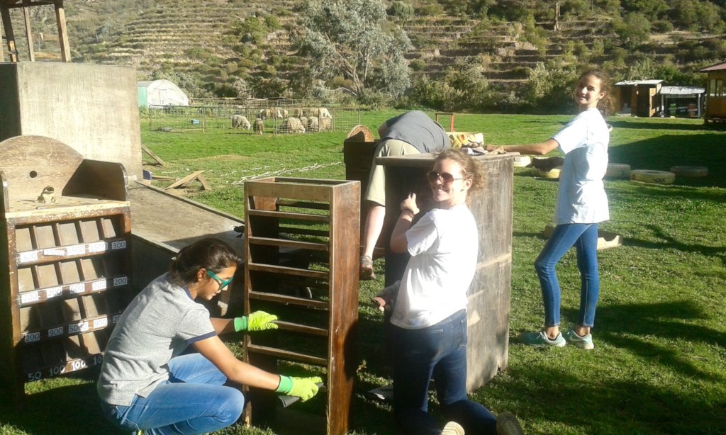 Education for 50 children in the Andes of Peru
