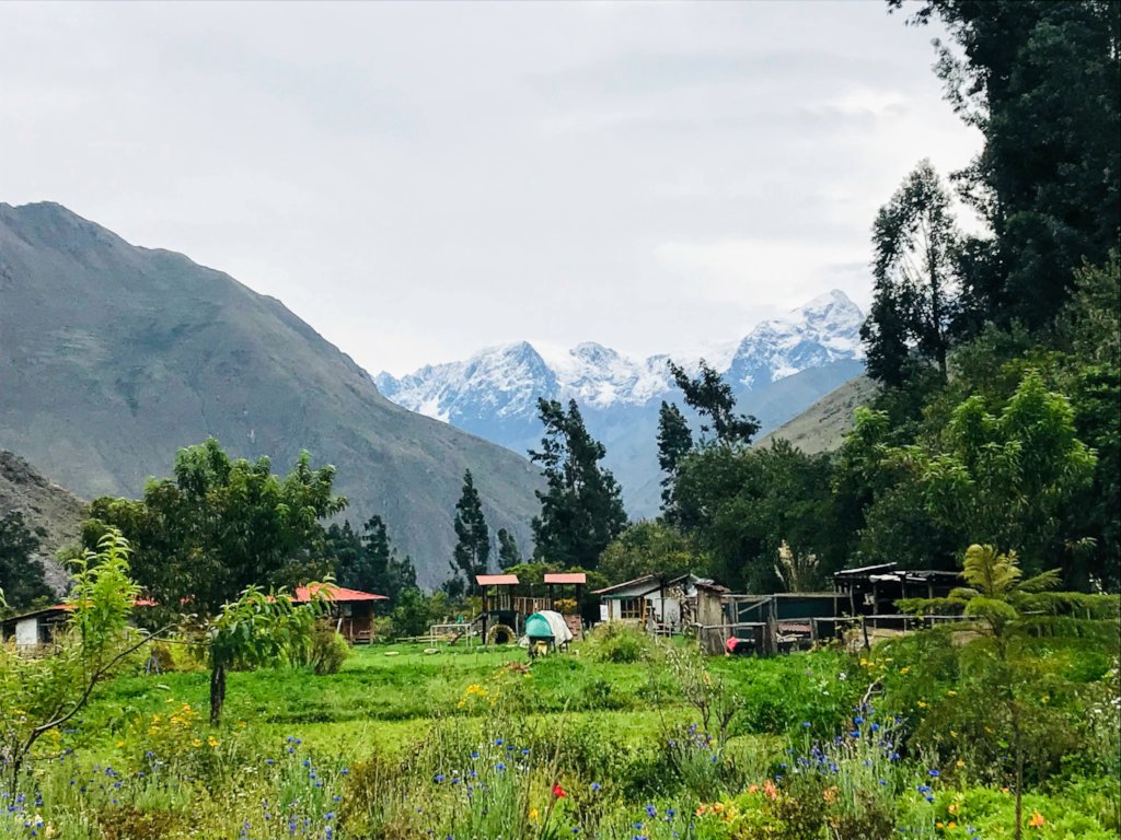 Education for 50 children in the Andes of Peru