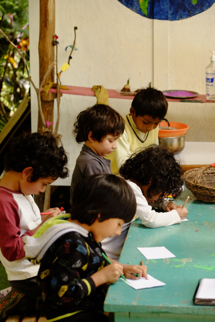 Education for 50 children in the Andes of Peru
