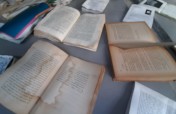 Help us rescue the Feminaria Library