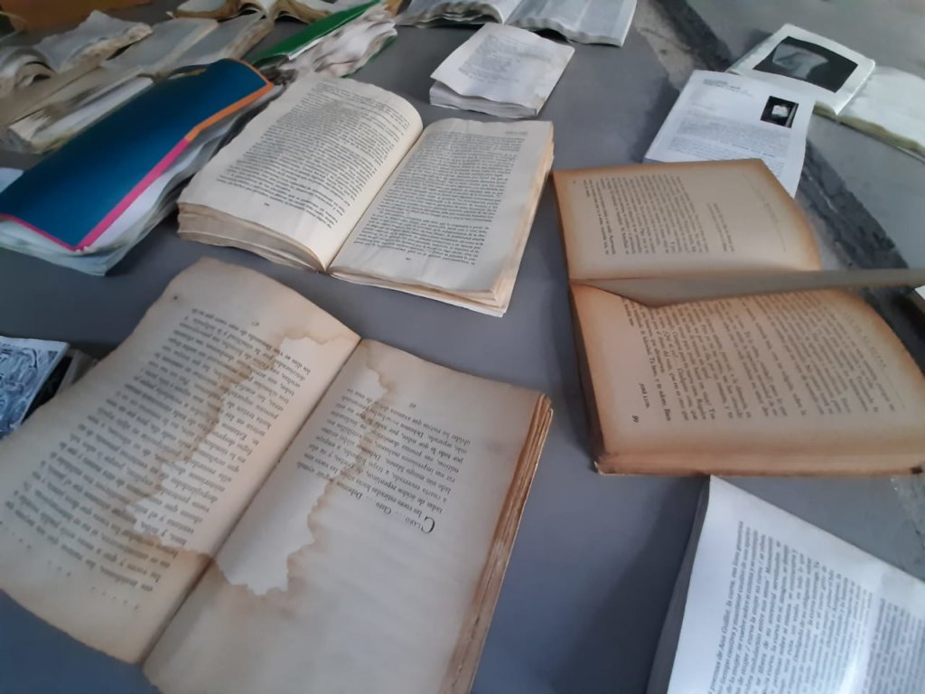 Help us rescue the Feminaria Library