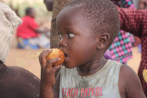 A young boy enjoys part of an apple.