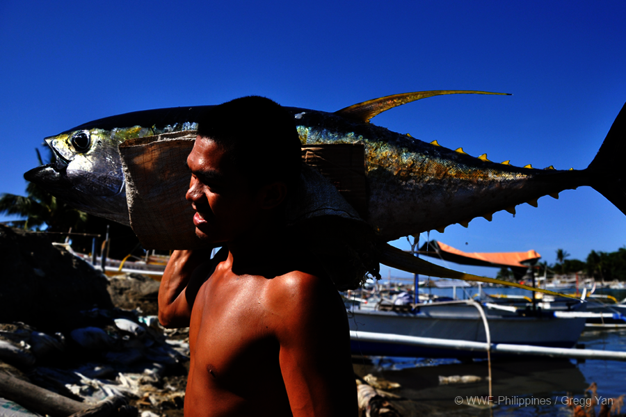 Livelihood for 21 fishing communities in the PH