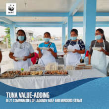 Livelihood for 21 fishing communities in the PH