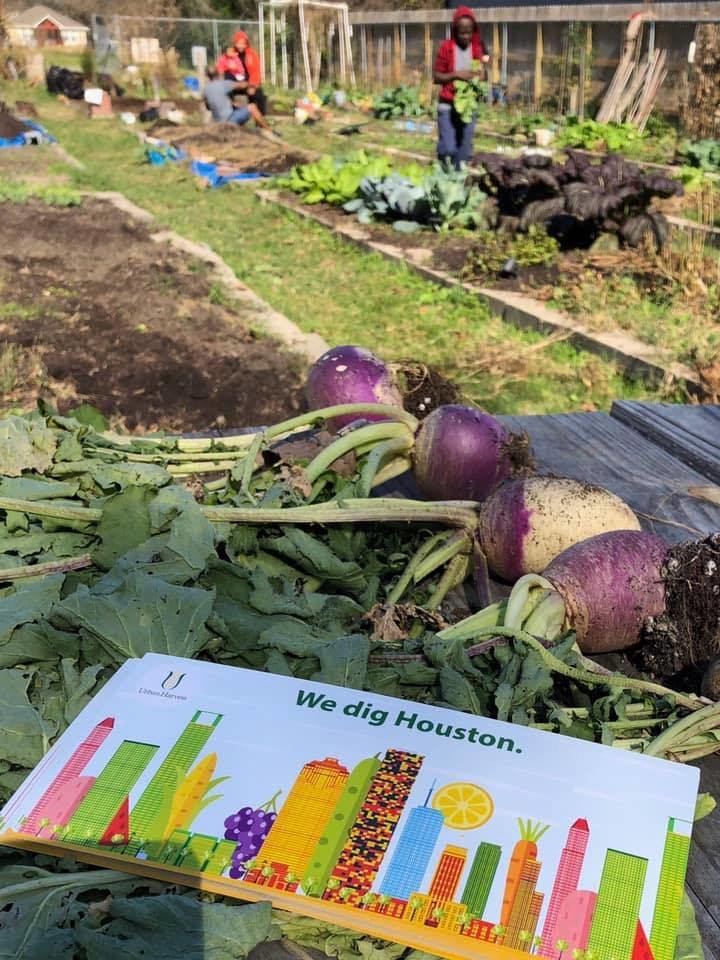 Grow Resilience: Cultivating Healthier Communities