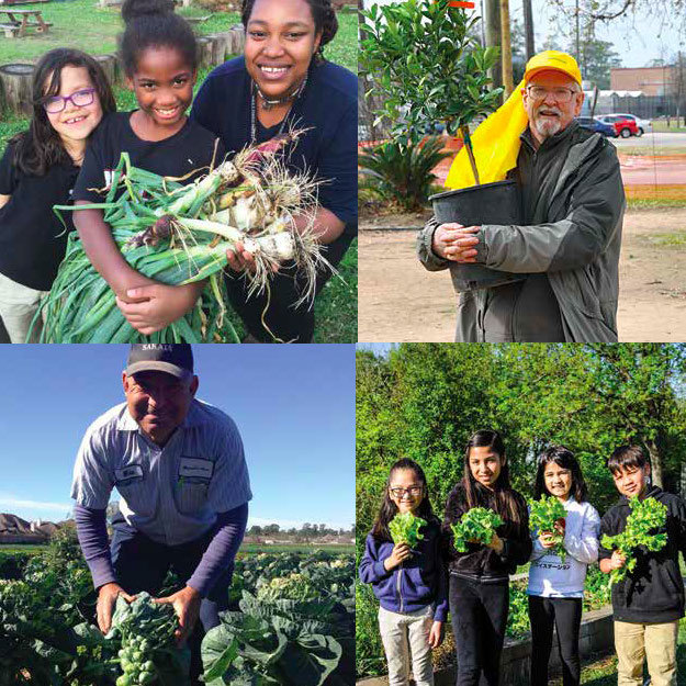 Grow Resilience: Cultivating Healthier Communities