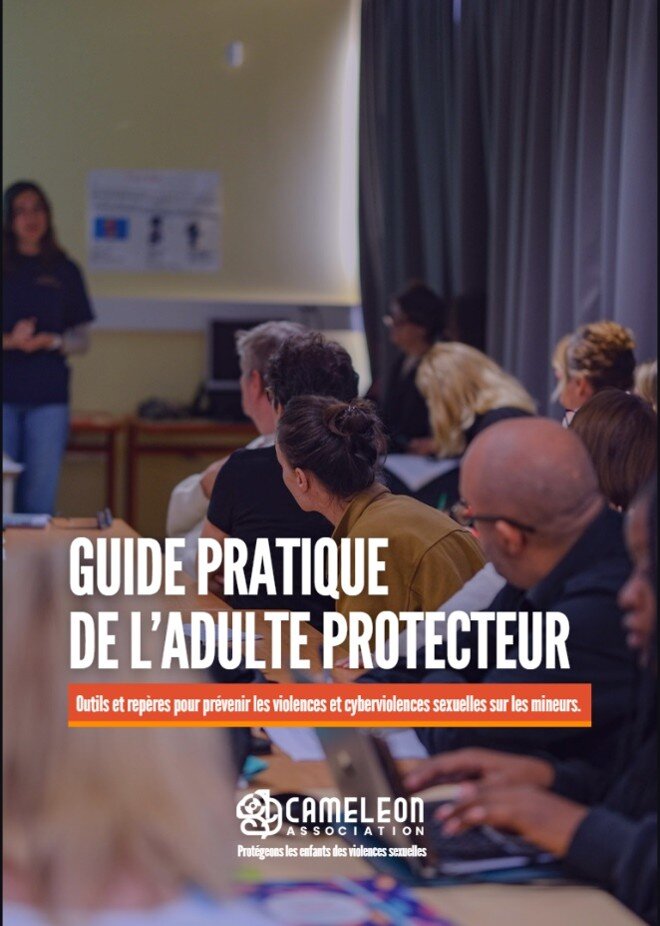 The Practical Guide for Protective Adults.