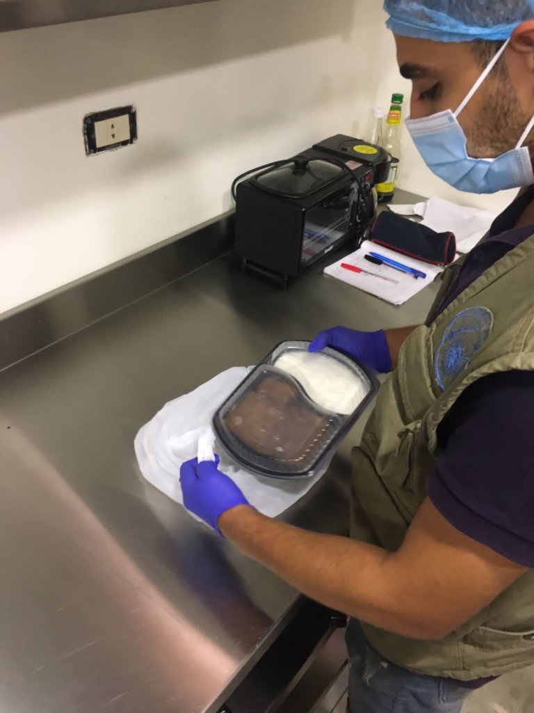 Together to Reduce Hunger