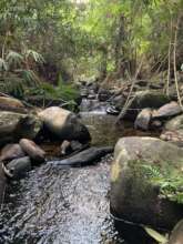 Land Protected by Rainforest Protectors Trust