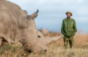 The Next Phase of our Northern White Rhino Program