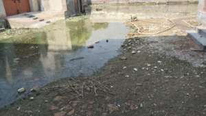School ground.
