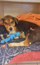 A little help goes a long way