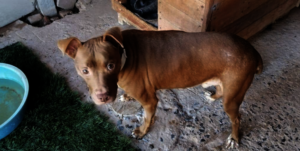 Lennon our Baby Survived!