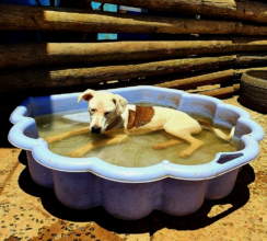 Splashing Around Keeping Cool