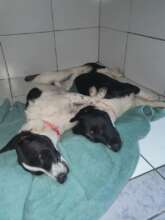 Two babies rescued from a flooded home in SA