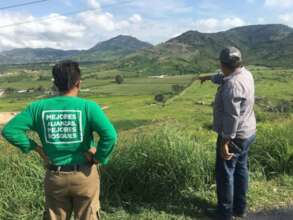 Reforestaciones 2021