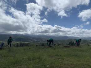 2021 Reforestations