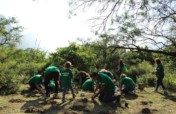 Better Alliances Better Forests