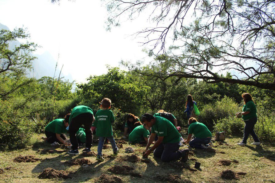 Better Alliances Better Forests