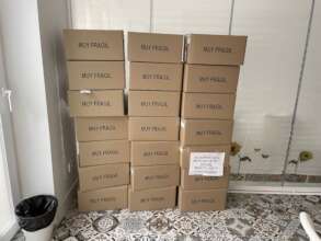 Probiotics arrived!